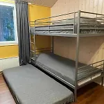 Purnukka - Upeissa Jaervimaisemissa Ulkoporeammeella Villa Kuopio
